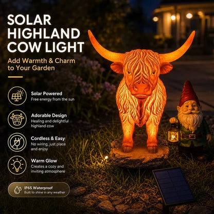 TODAY'S SPECIAL OFFER-50% OFF🔥 HIGHLAND CATTLE SOLAR GARDEN ORNAMENT LIGHT