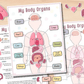 🔥Hot Sell 49% Off🧒Human Anatomy Busy Book