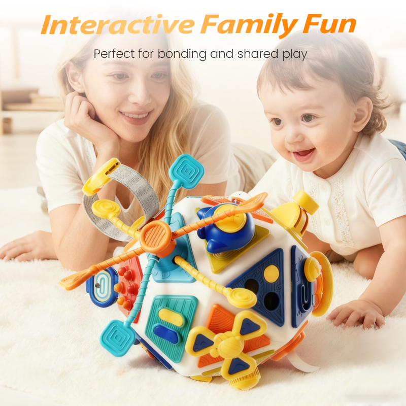 Multi-faceted Educational Puzzle Cube