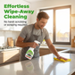 Heavy Duty Kitchen Degreaser Spray