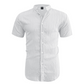 Men's Summer Stand Collar Short Sleeve Shirt