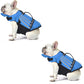 🥳2026 HOT SALE 50% OFF!💞50K+ SOLD!🐕👼Reflective Angel Wing Dog Life Jacket – High‑buoyancy, quick‑rescue handle & breathable mesh. Reflective strips for evening swims. Safe & adorable! 🌊✨